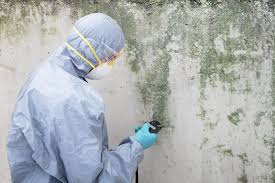 Professional Mold Prevention & Removal  in Galt, CA